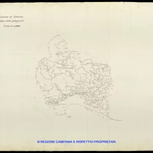 Grafico delle Poligonali