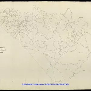 Grafico delle Poligonali