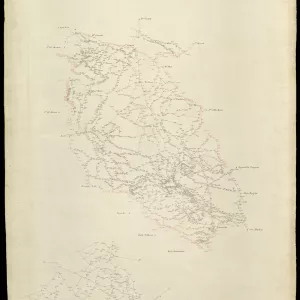 Grafico delle Poligonali