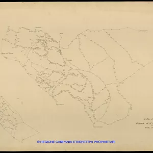 Grafico delle Poligonali