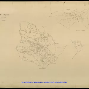 Grafico delle Poligonali