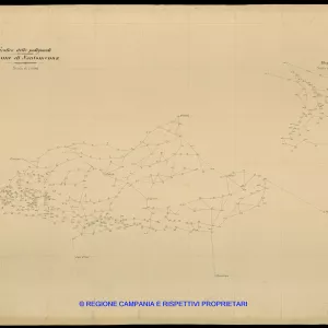 Grafico delle Poligonali