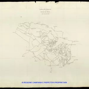 Grafico delle Poligonali
