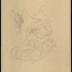 Grafico delle Poligonali