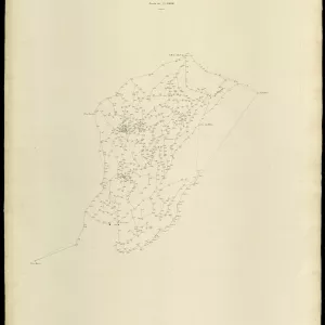Grafico delle Poligonali
