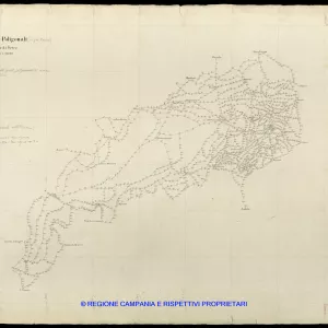 Grafico delle Poligonali