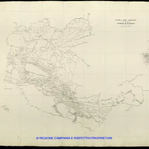 Grafico delle Poligonali