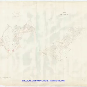 Allegati