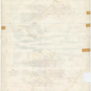 Allegati
