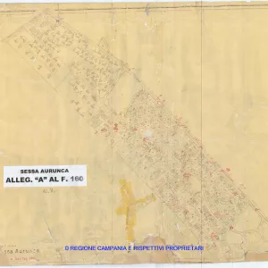Allegati