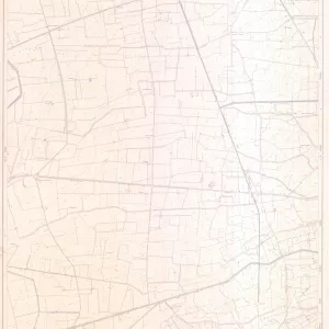 Tav. 6