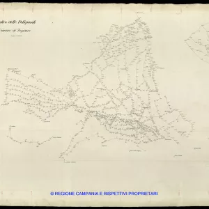Grafico delle Poligonali