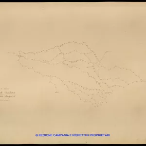 Grafico delle Poligonali