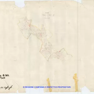 Allegati