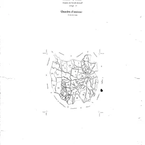Quadro di Unione
