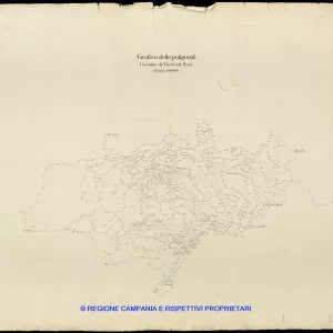 Grafico delle Poligonali