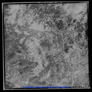 AEROFOTO IGM - 1954-1955 11310