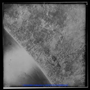 AEROFOTO IGM - 1954-1955 11337