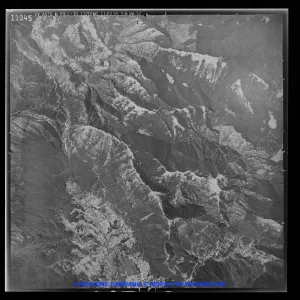 AEROFOTO IGM - 1954-1955 11345