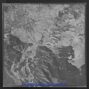 AEROFOTO IGM - 1954-1955 11347