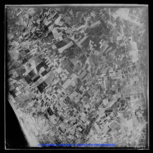 AEROFOTO IGM - 1954-1955 11383