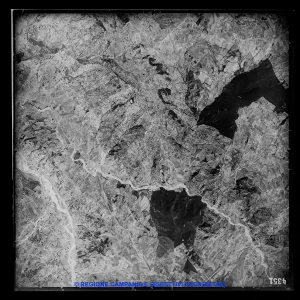 AEROFOTO IGM - 1954-1955 4351