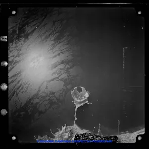 AEROFOTO IGM 1956 2012