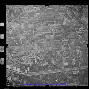 AEROFOTO IGM 1981 295