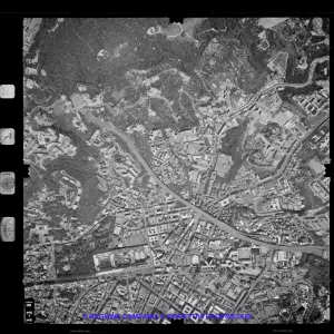 AEROFOTO IGM 1981 338