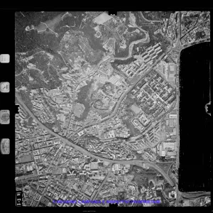 AEROFOTO IGM 1981 339