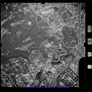 AEROFOTO IGM 1981 354