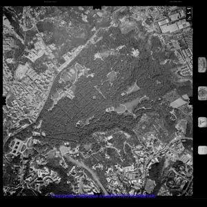 AEROFOTO IGM 1981 355