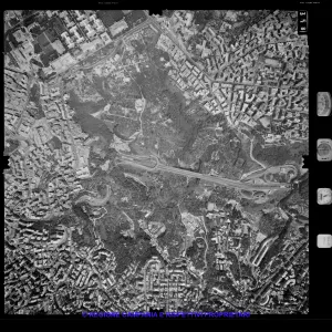 AEROFOTO IGM 1981 358