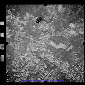 AEROFOTO IGM 1981 385