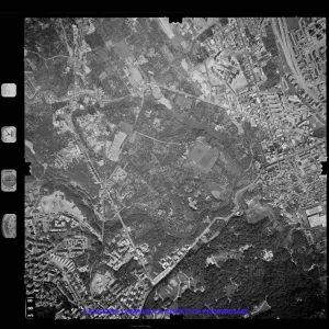 AEROFOTO IGM 1981 388