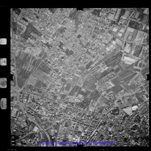 AEROFOTO IGM 1981 393