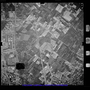 AEROFOTO IGM 1981 419