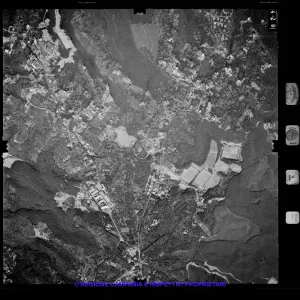 AEROFOTO IGM 1981 428