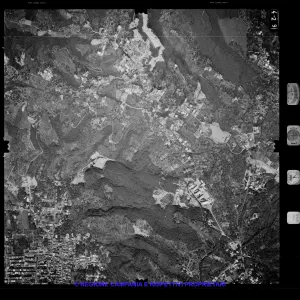 AEROFOTO IGM 1981 429