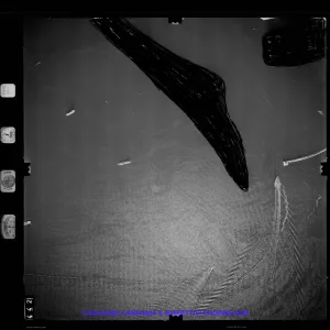AEROFOTO IGM 1981 442