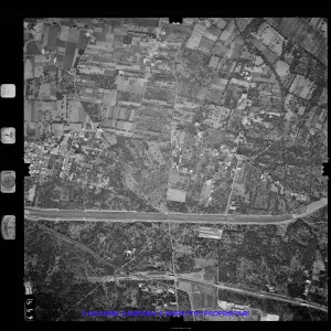 AEROFOTO IGM 1981 455