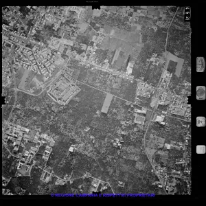 AEROFOTO IGM 1981 462