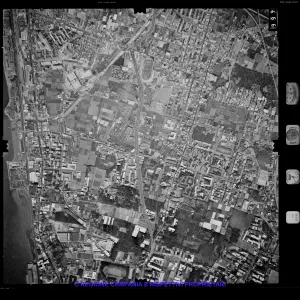 AEROFOTO IGM 1981 466