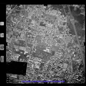 AEROFOTO IGM 1981 474