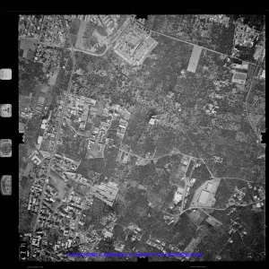 AEROFOTO IGM 1981 477