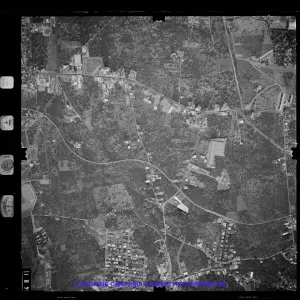 AEROFOTO IGM 1981 481