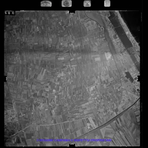 AEROFOTO IGM 1981 503