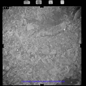 AEROFOTO IGM 1981 551