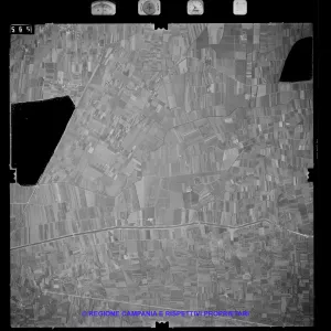 AEROFOTO IGM 1981 565