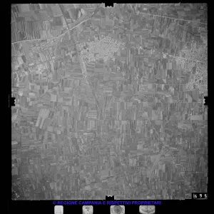 AEROFOTO IGM 1981 569